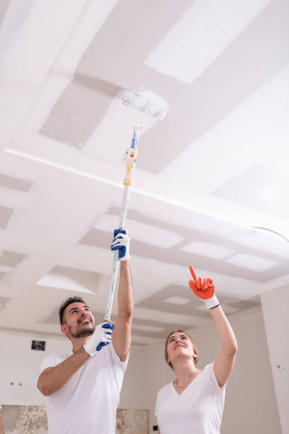 Best Water Damage & Mold Remediation  in North Beach, MD